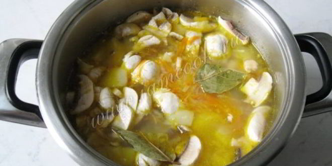 Рецепт щей с квашеной капустой и грибами