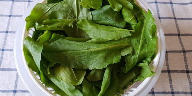 Рецепт щей с щавелем