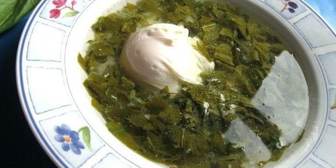 Рецепт щей щавелевых холодных