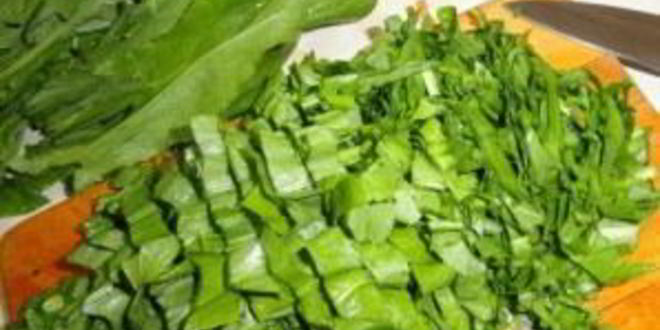 Рецепт щей со щавелем