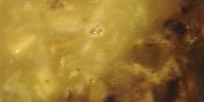 Рецепт щей со свежей капустой и грибами