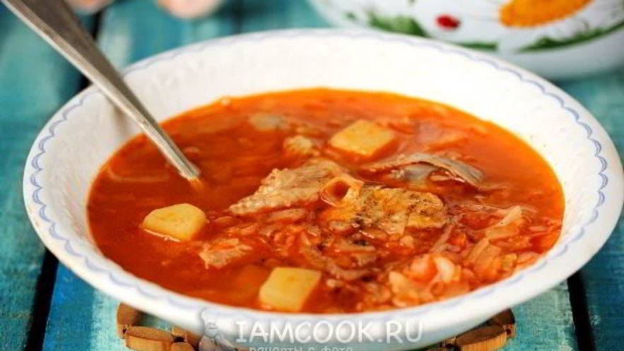 Рецепт свежих щей с курицей