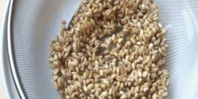 Рецепт уральских щей с перловой крупой