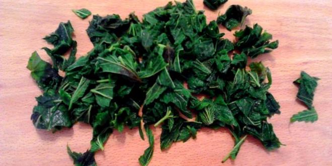 Рецепт зеленых щей с крапивой и щавелем с яйцом