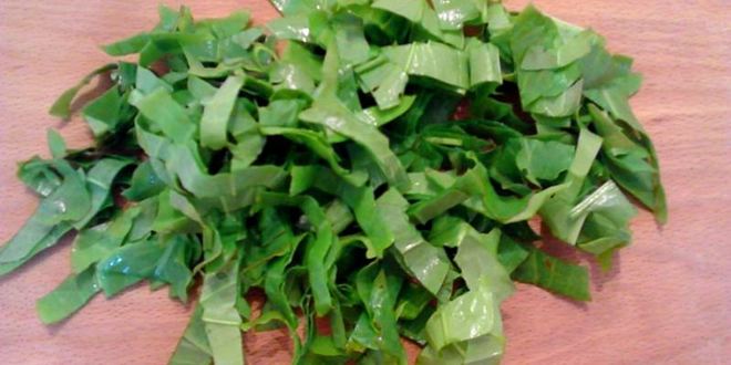 Рецепт зеленых щей с крапивой и щавелем с яйцом