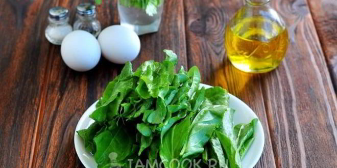 Рецепт зеленых щей со щавелем и яйцом