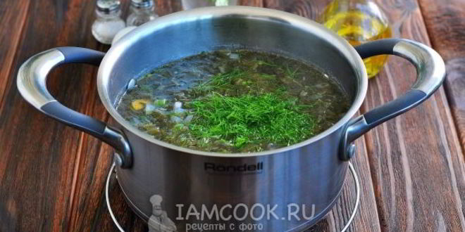 Рецепт зеленых щей со щавелем и яйцом