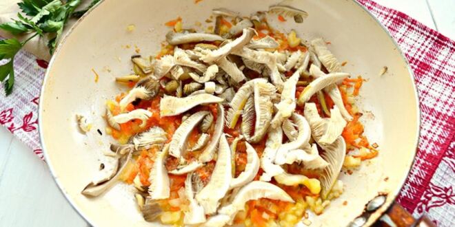 Рецепт капустной солянки с грибами