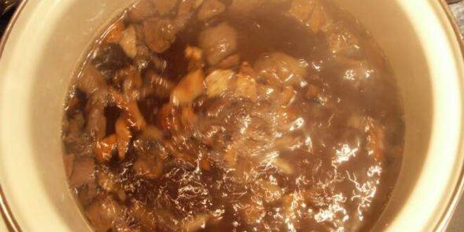 Рецепт постной грибной солянки