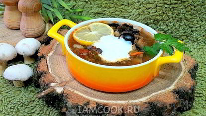 Рецепт Солянки грибной с огурцами