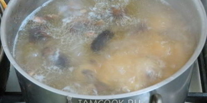 Рецепт солянки грибной с огурцами