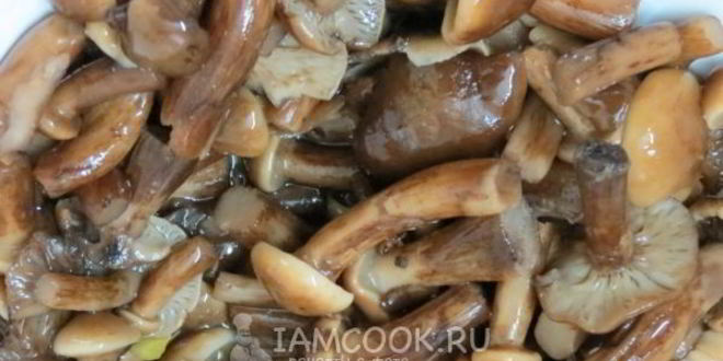 Рецепт солянки грибной с огурцами