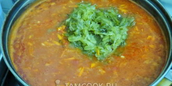 Рецепт солянки грибной с огурцами