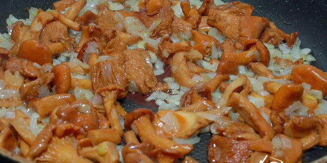 Рецепт солянки из капусты с грибами