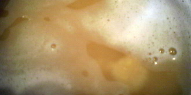 Рецепт супа из нута с грибами