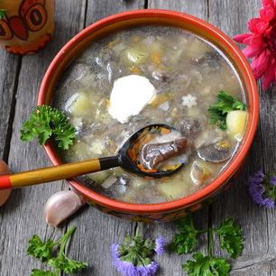 Рецепт Супа из подберезовиков замороженных