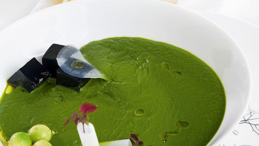 Рецепт супа из щавеля с желе из краснокочанной капусты