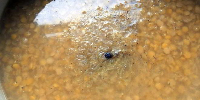 Рецепт чечевичного супа-пюре с лисичками