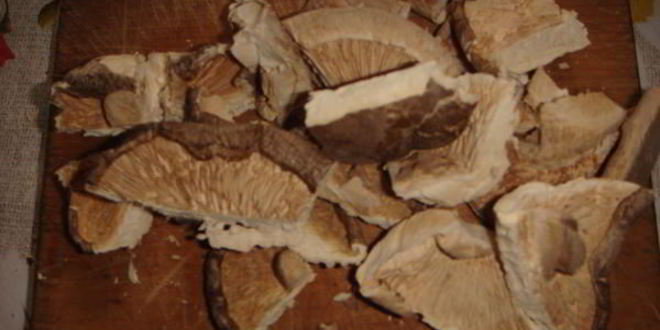 Рецепт грибного супа-пюре капучино