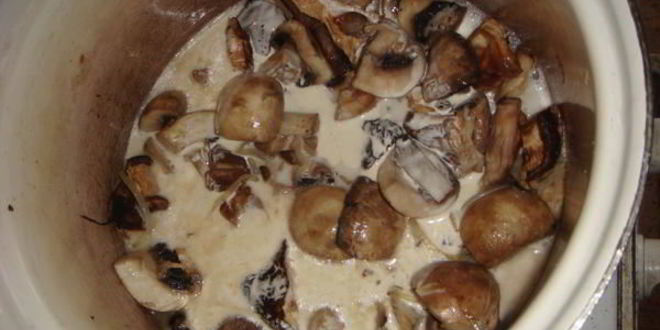 Рецепт грибного супа-пюре капучино