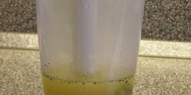 Рецепт супа-пюре из цукини с мятой