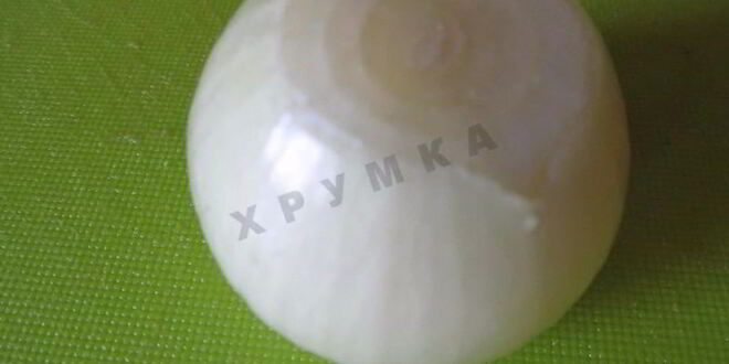 Рецепт супа пюре на курином бульоне из шампиньонов