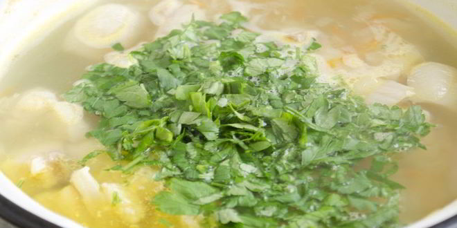 Рецепт домашней ухи из пангасиуса