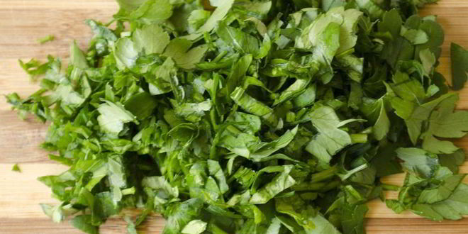 Рецепт домашней ухи из пангасиуса