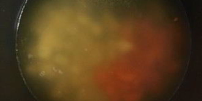 Рецепт настоящей ухи