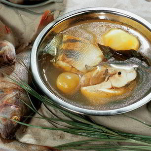 Рецепт Рыбацкой ухи из судачков