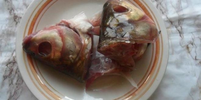 Рецепт рыбного супа уха из леща