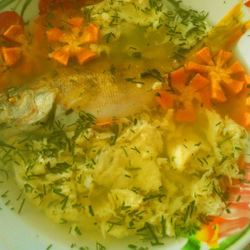 Рецепт Рыбного супа уха из окуня