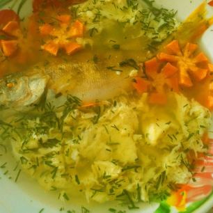 Рецепт Рыбного супа уха из окуня