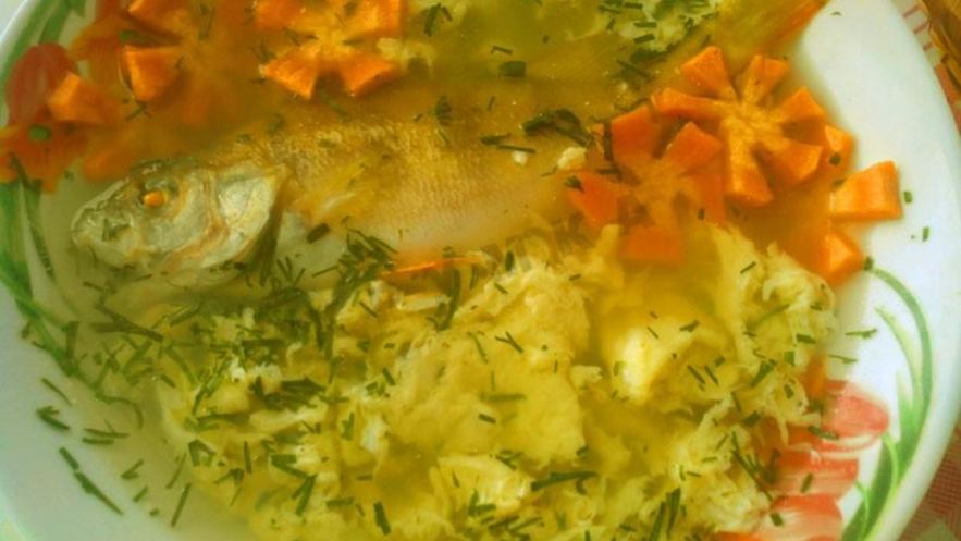 Рецепт рыбного супа уха из окуня