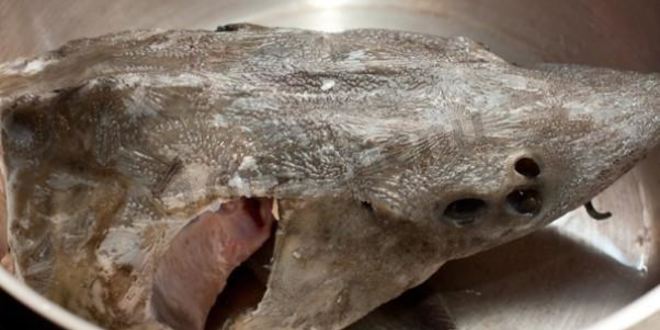 Рецепт рыбного супа уха из осетра