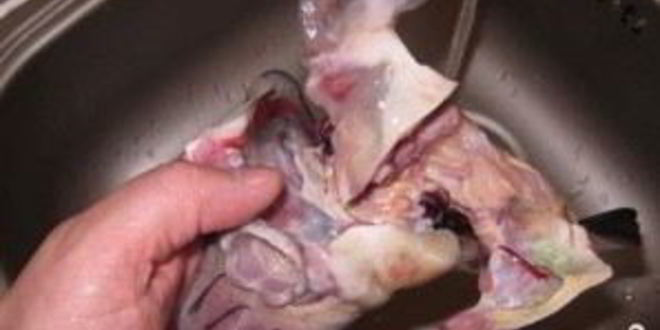 Рецепт ухи из головы осетра