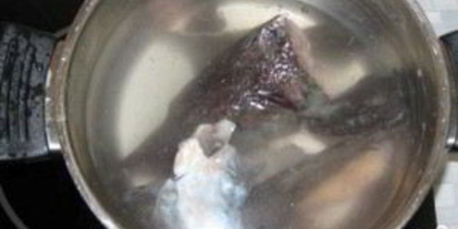 Рецепт ухи из головы осетра