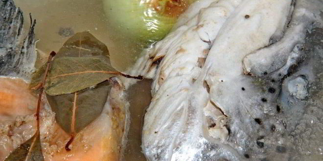 Рецепт ухи из головы семги