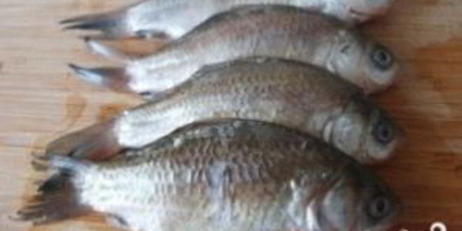 Рецепт ухи из карася