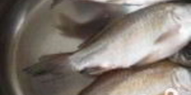 Рецепт ухи из карася