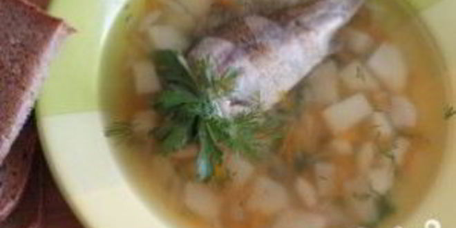 Рецепт ухи из карася