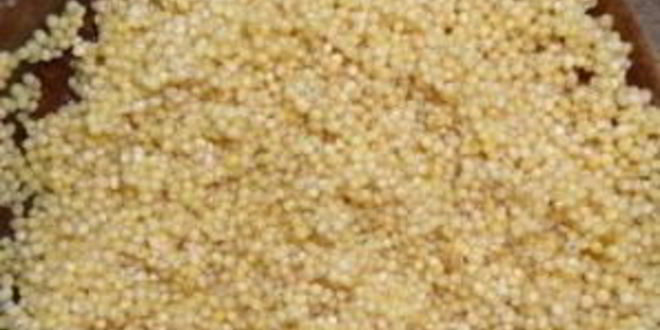 Рецепт ухи из рыбных консервов