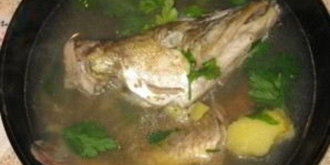 Рецепт ухи из щуки
