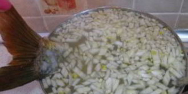 Рецепт ухи из сельди