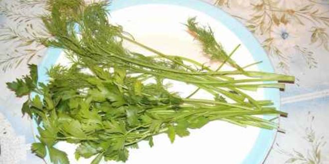 Рецепт ухи из семги