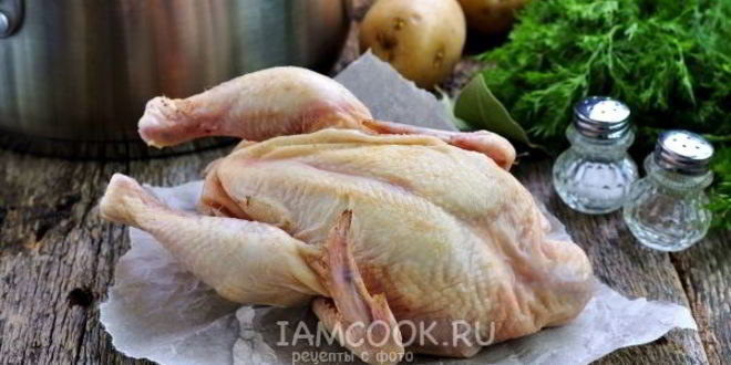 Рецепт ухи из стерляди