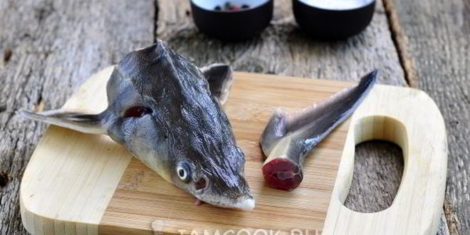 Рецепт ухи из стерляди