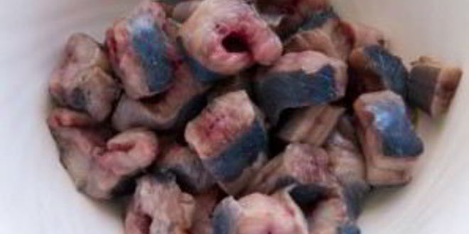 Рецепт ухи из угря