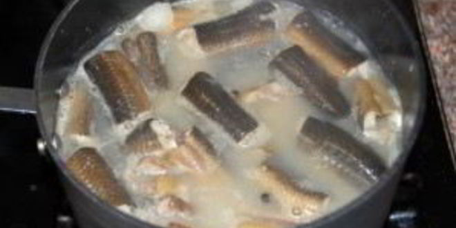 Рецепт ухи из угря