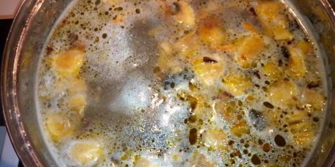 Рецепт ухи с грибами